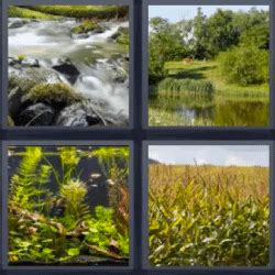 4 fotos 1 palabra 4 letras rápido